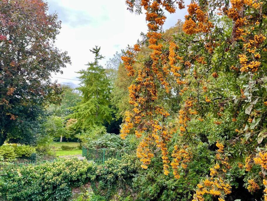 Vernon Place Town Centre, Vernon Cottage 3-Bed With Parking, 1A Vernon Court 2-Bed With Parking, 1B Studio No Parking, Off The High Street Next To Sandford Park Cheltenham Esterno foto