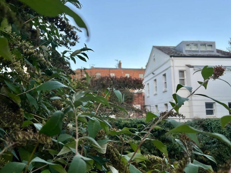 Vernon Place Town Centre, Vernon Cottage 3-Bed With Parking, 1A Vernon Court 2-Bed With Parking, 1B Studio No Parking, Off The High Street Next To Sandford Park Cheltenham Esterno foto